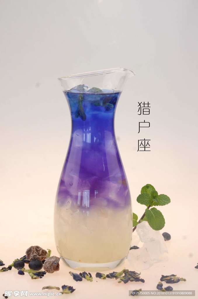 猎户座