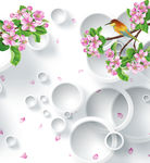 圈圈  花纹