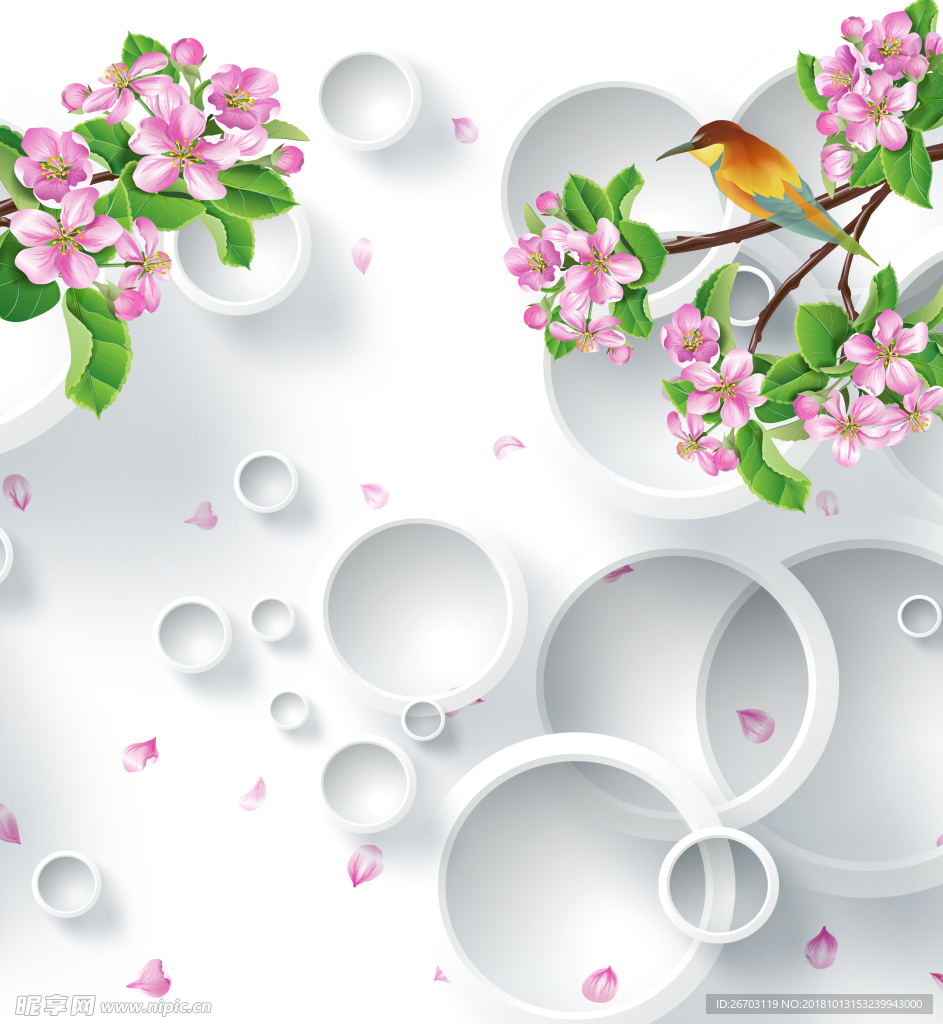 圈圈  花纹