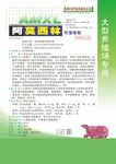 阿莫西林海报