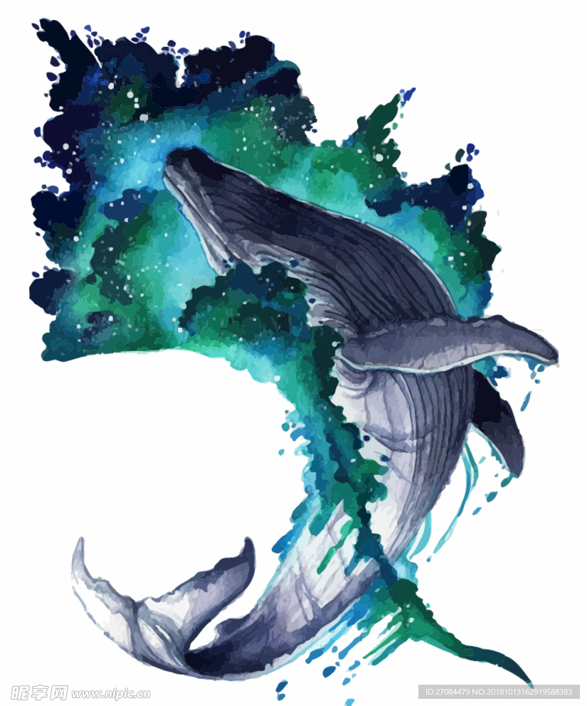 矢量水彩鲸鱼