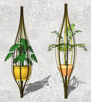 植物盆栽