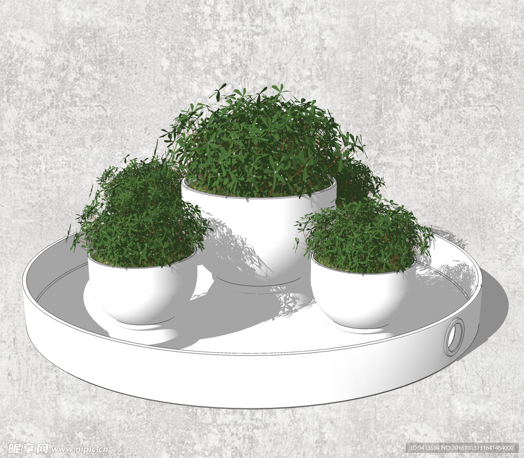 植物盆栽