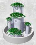 植物盆栽