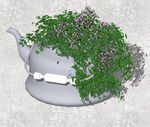 植物盆栽