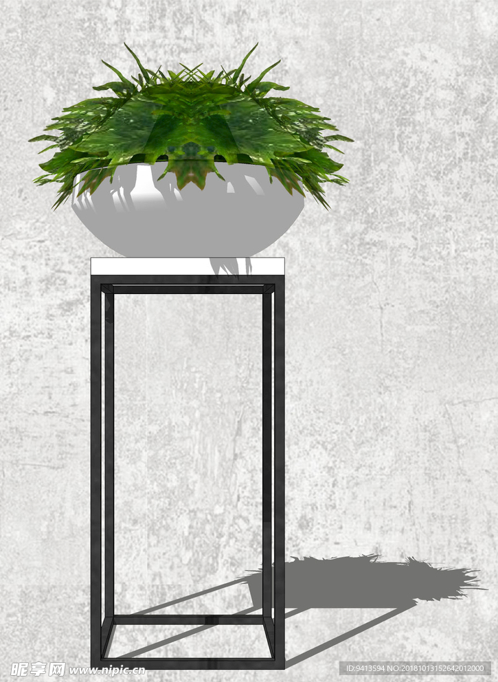 植物盆栽