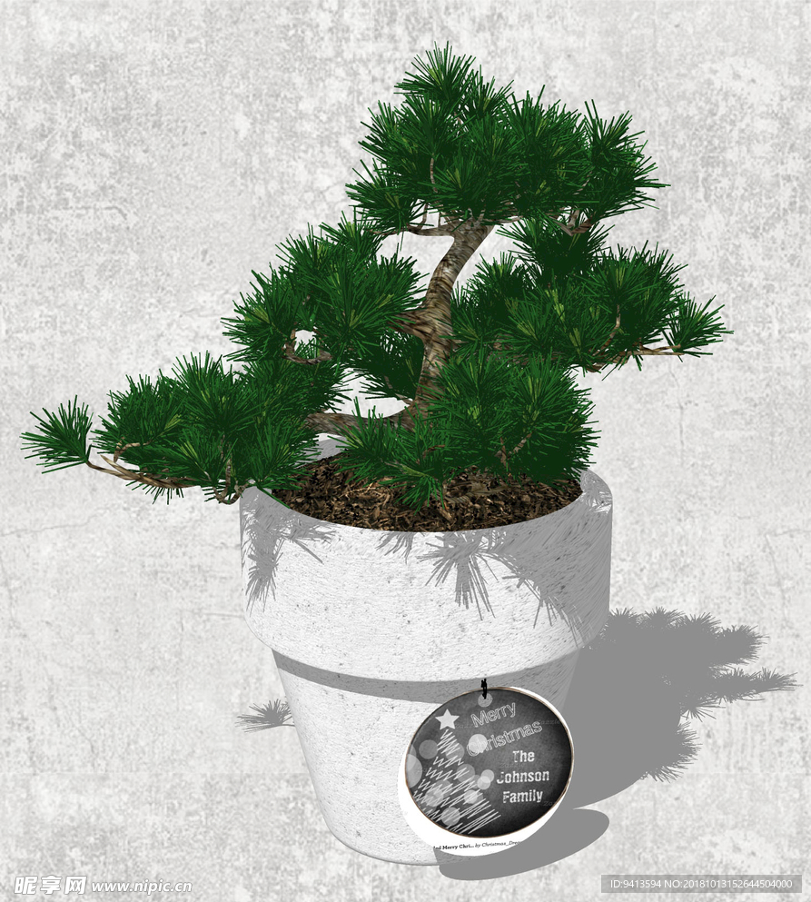植物盆栽
