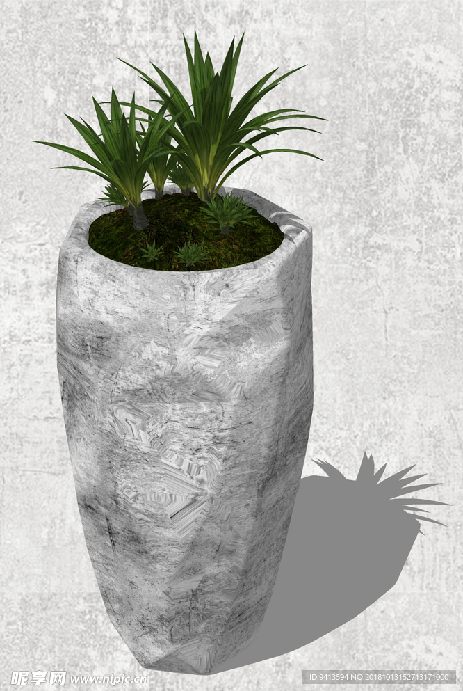 植物盆栽
