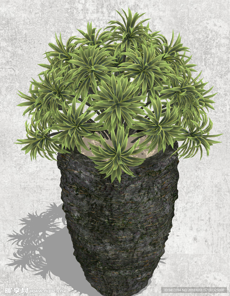 植物盆栽