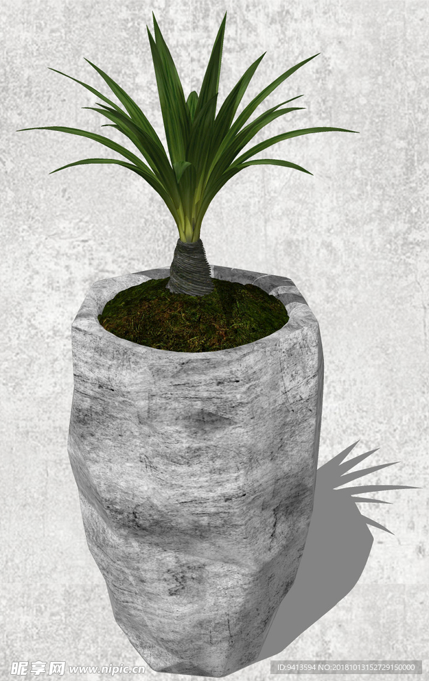 植物盆栽