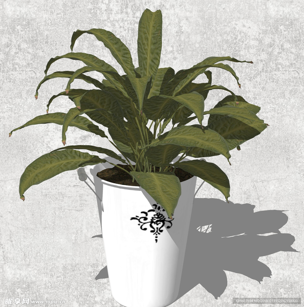 植物盆栽