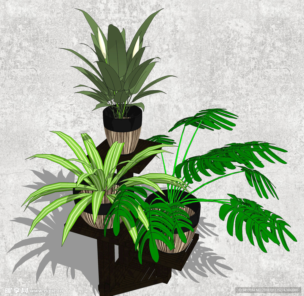 植物盆栽