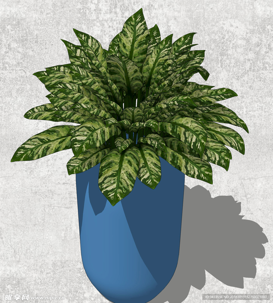 植物盆栽