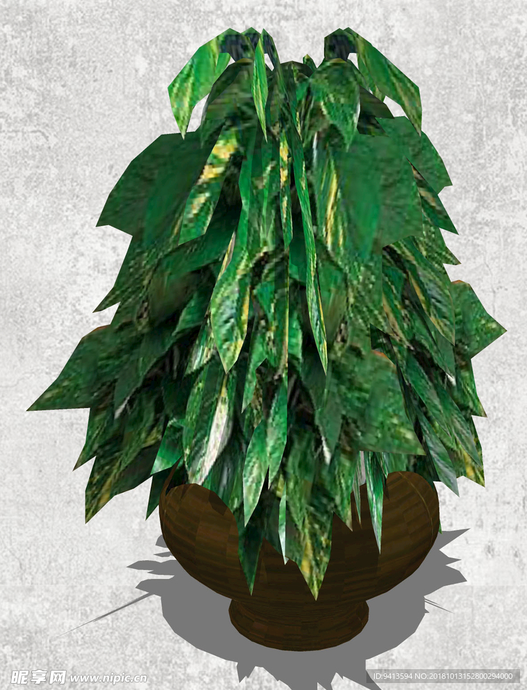 植物盆栽