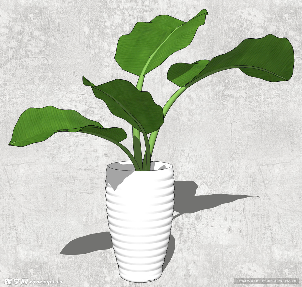植物盆栽