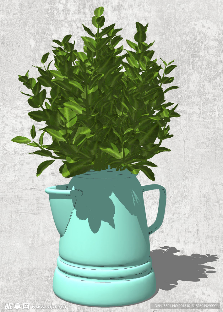 植物盆栽