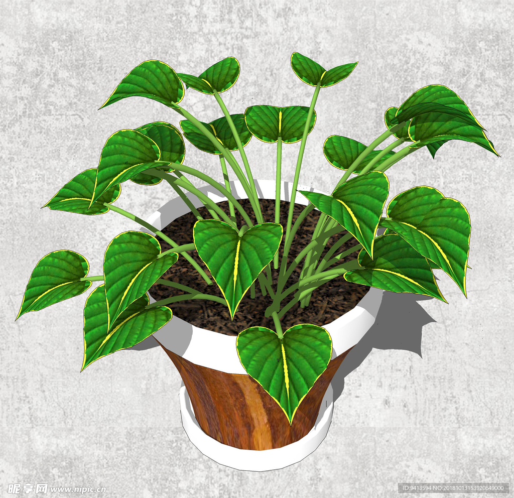 植物盆栽