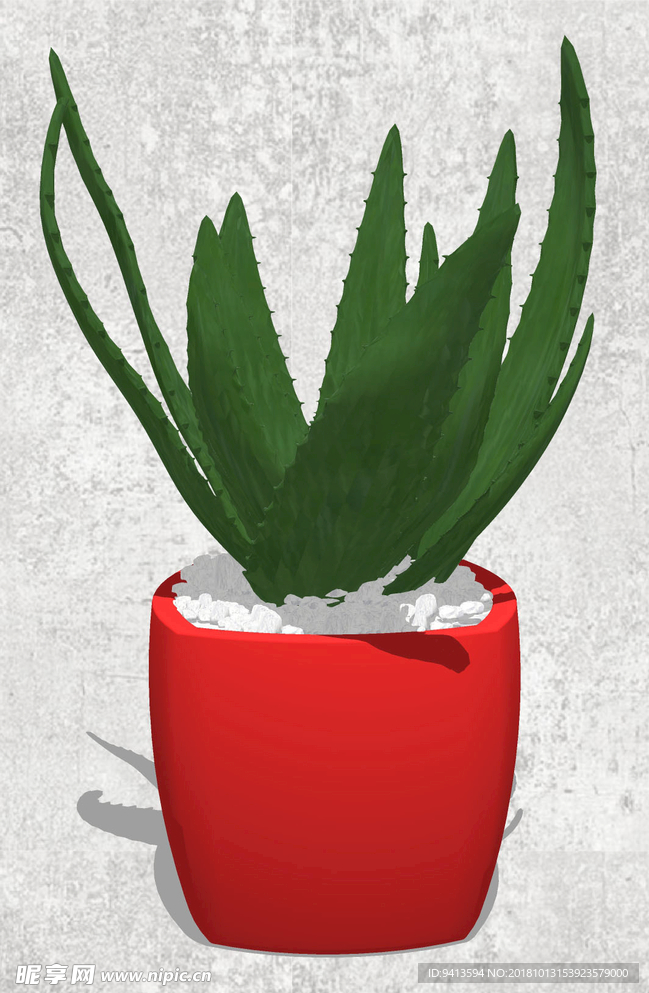 植物盆栽
