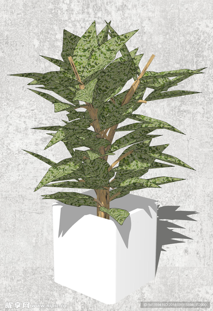 植物盆栽