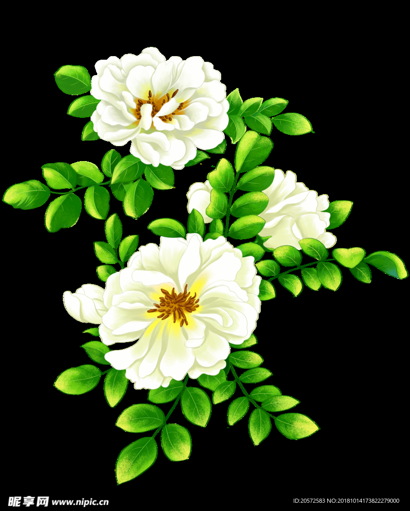 手绘栀子花