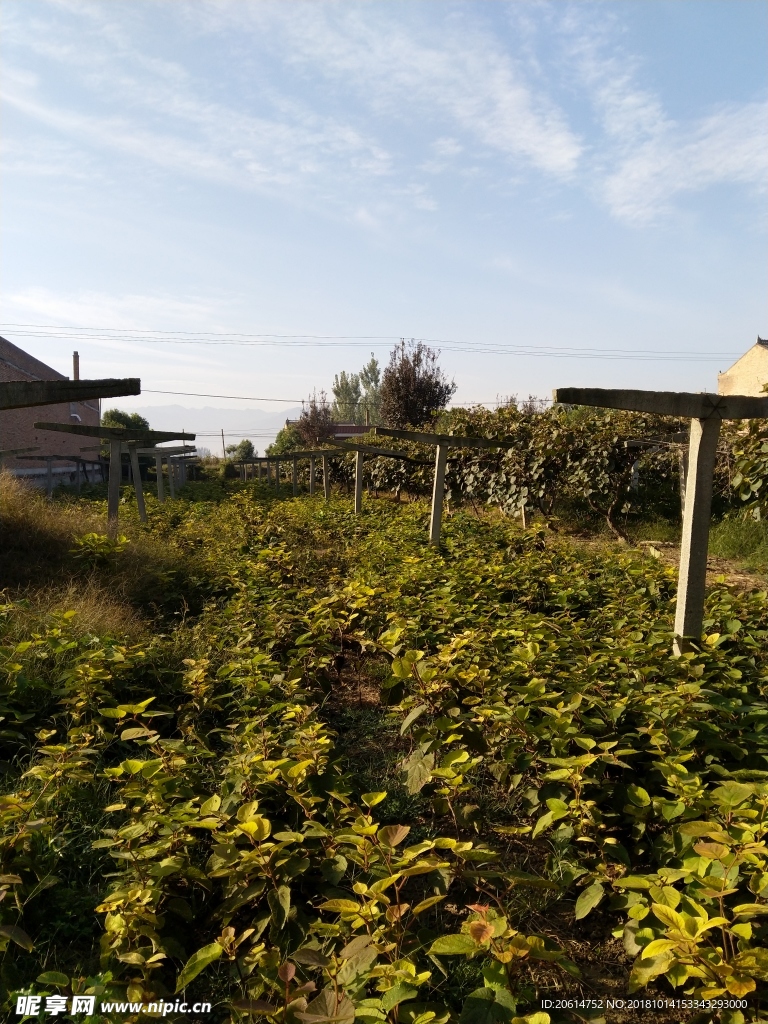 乡村田园风景
