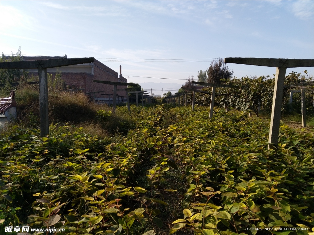 乡村田园风景