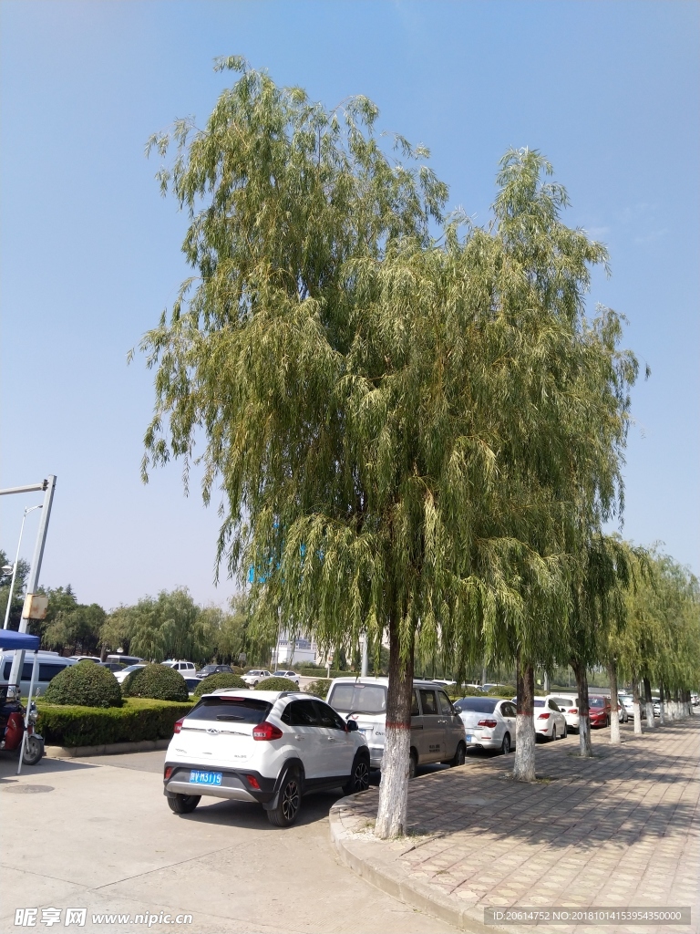 城市道路风景