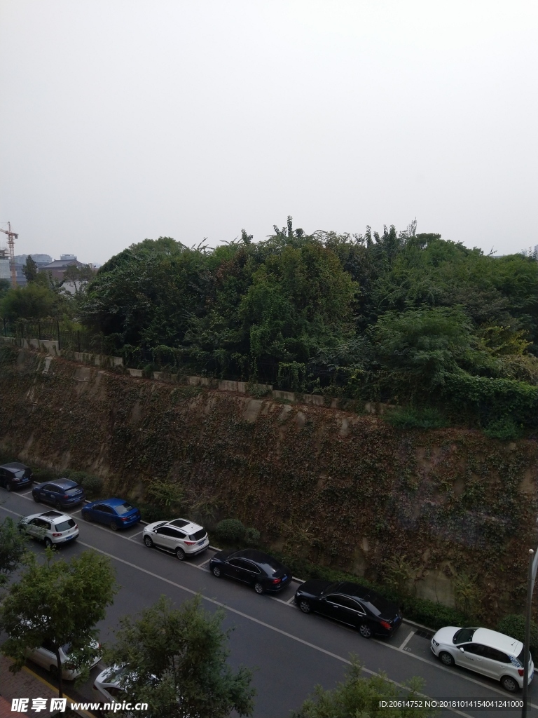 城市道路风景