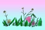 小花小草