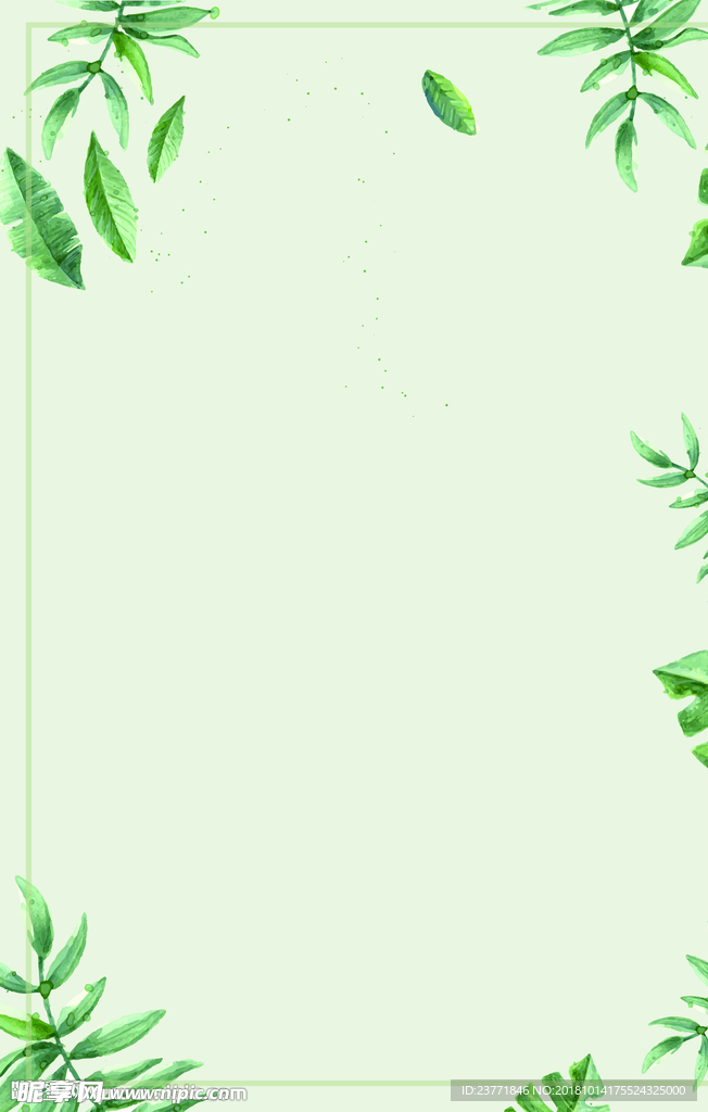 热带树叶背景