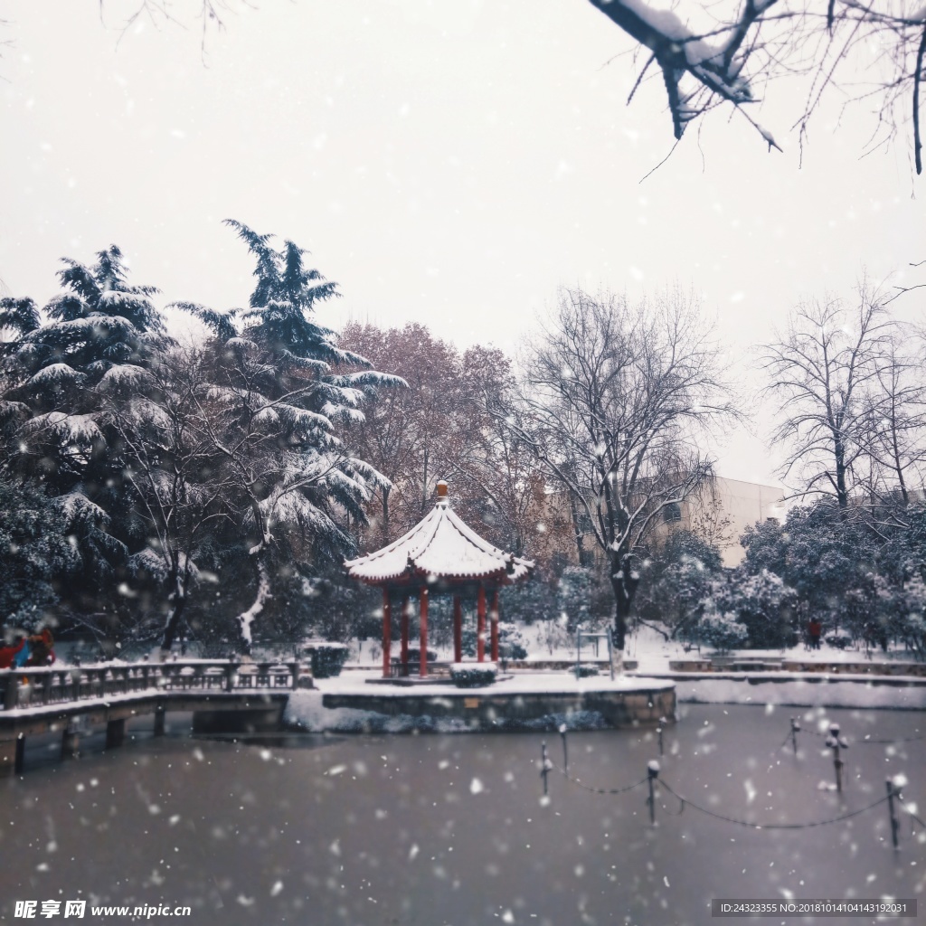 雪景
