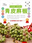 青皮麻椒海报