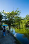 宏村风景区