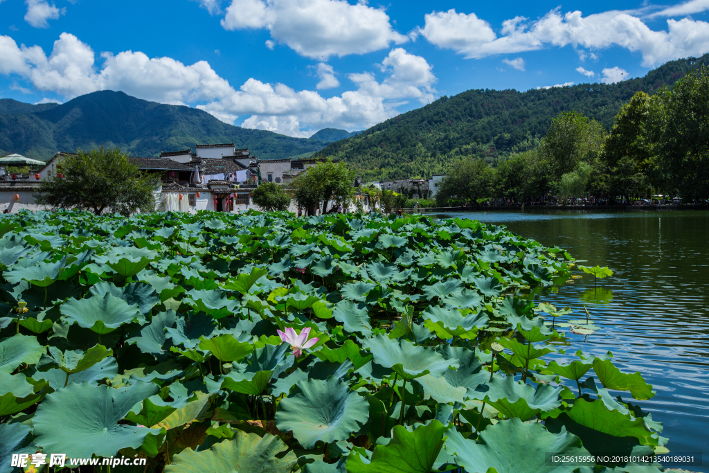 宏村风景区