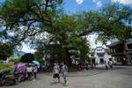 宏村风景区