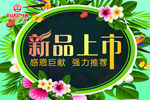 新品上市