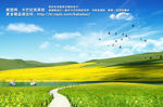 油菜花风景