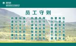 国家电网