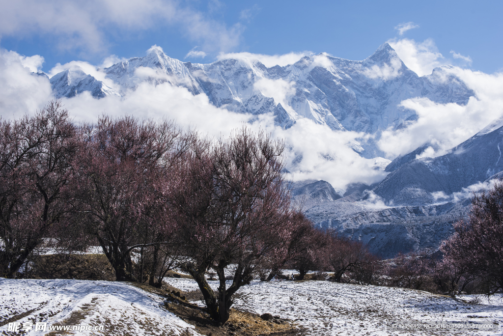 藏区雪山美景