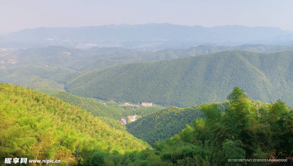 山上竹海风景图