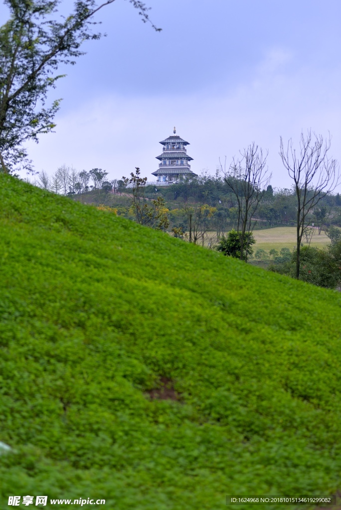 相映居趣