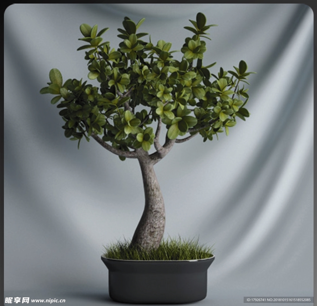 植物摆件3D模型