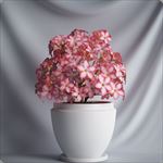 植物摆件3D模型