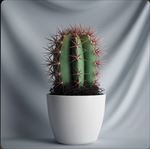植物摆件3D模型