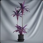 植物摆件3D模型