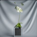 植物摆件3D模型