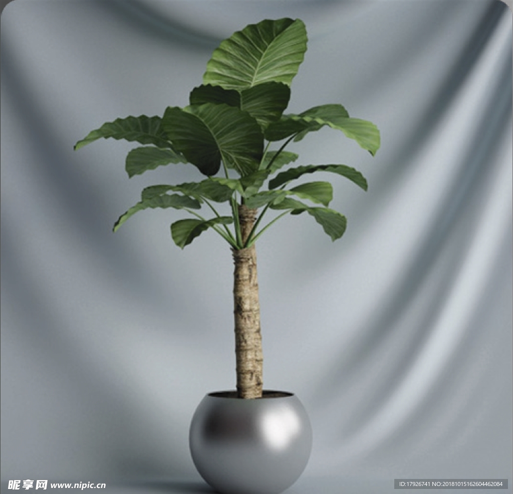 植物摆件3D模型