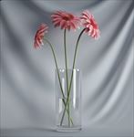 植物摆件3D模型