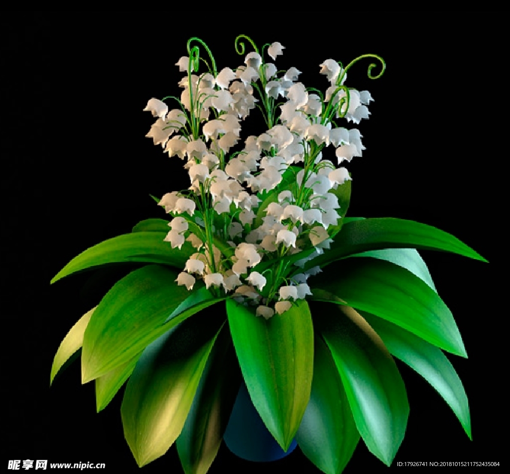 花卉3D模型