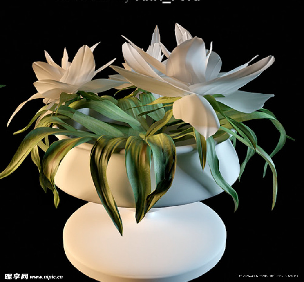 花卉3D模型